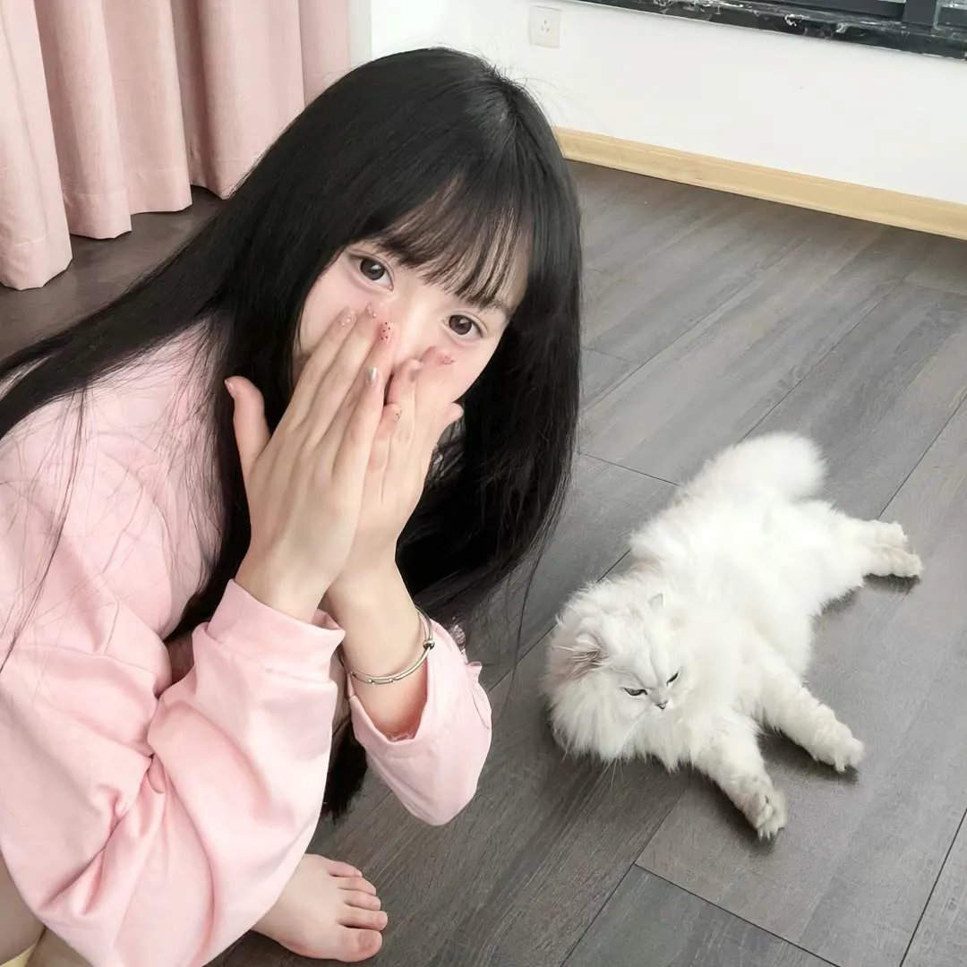 派特森与芬达猫：生日奇闻